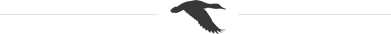 delimiter image